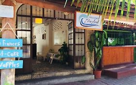 Hostal Zihuazul